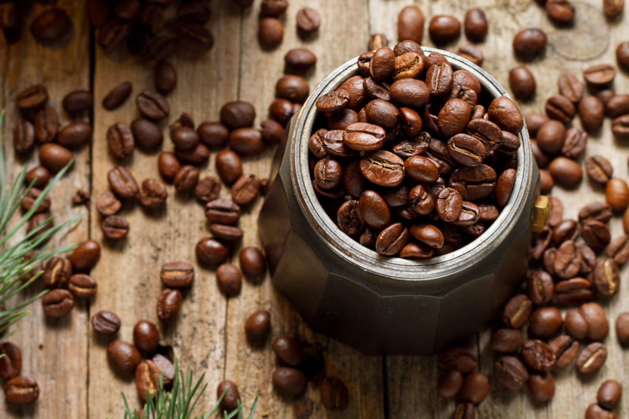 Coffee Beans